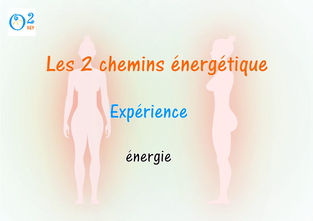 Les 2 chemins énergétiques